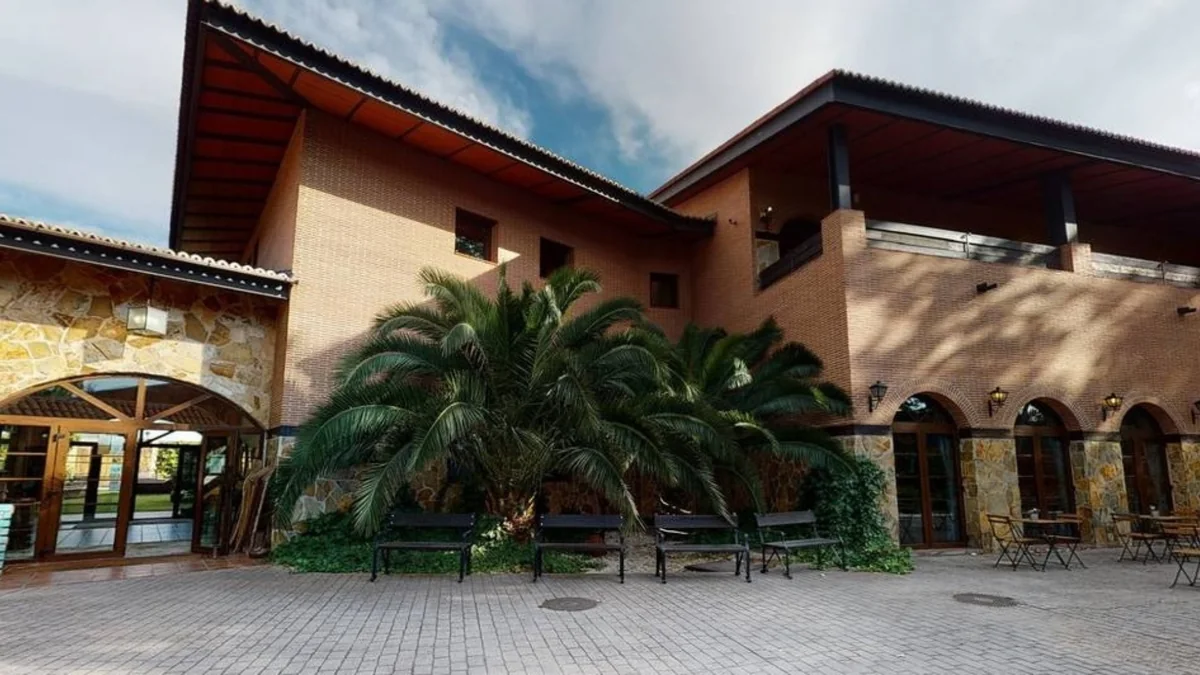 El patio con palmeras